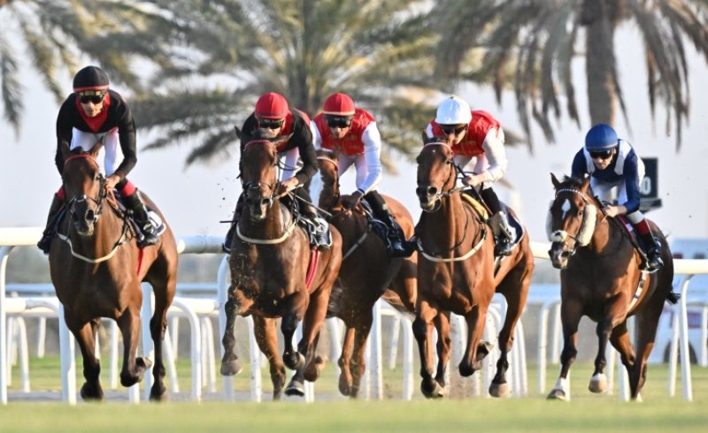 نادي راشد للفروسية وسباق الخيل ينظم الجمعة السباق الثاني لهذا الموسم