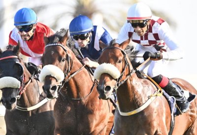 نادي راشد للفروسية وسباق الخيل ينظم السبت السباق الثالث لهذا الموسم