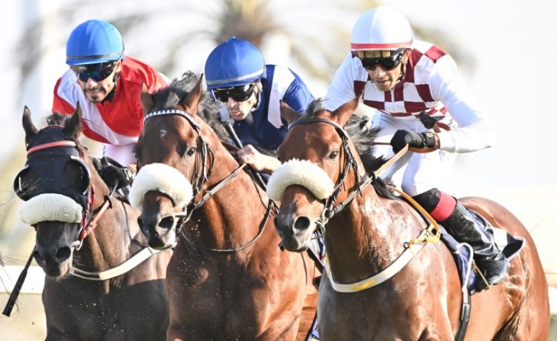 نادي راشد للفروسية وسباق الخيل ينظم السبت السباق الثالث لهذا الموسم