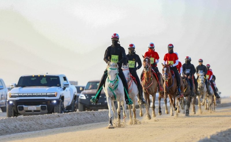 الاتحاد الملكي للفروسية وسباقات القدرة يواصل استعداده لتنظيم سباق القدرة الدولي والسباقات التأهيلية