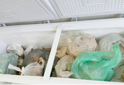 16000 منشأة تخضع لتفتيش وزارة الصحة