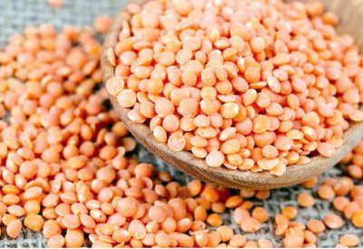 30 طن من العدس تصدره البحرين يوميًا