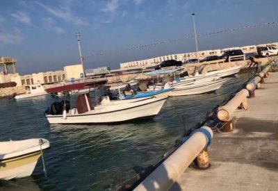 "تمكين": دعم 1460 صياد و650 مزارع