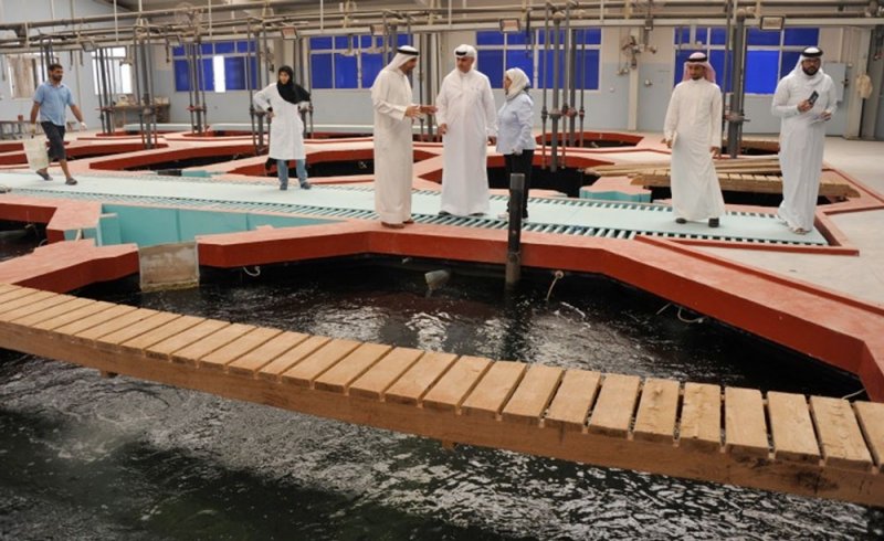 ارتفاع الإنتاج من المزارع السمكية الى 162 طنًا