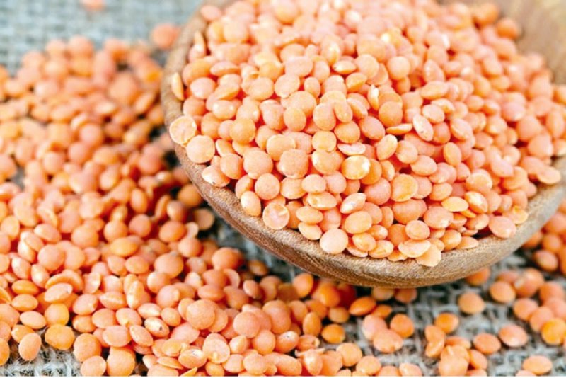 30 طن من العدس تصدره البحرين يوميًا