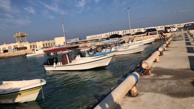 "تمكين": دعم 1460 صياد و650 مزارع