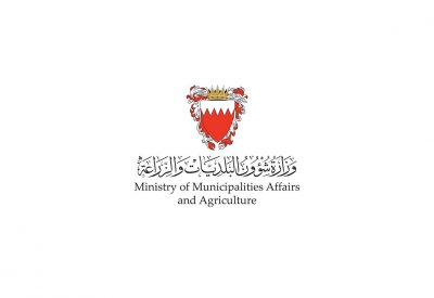توقف مشروع مسح الأراضي الزراعية.. "البلديات": تم إدراج مشروع لدراسة التصحر واستصلاح الأراضي الزراعية