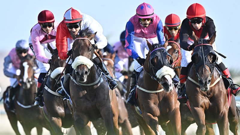نادي راشد للفروسية وسباق الخيل ينظم غدا السباق الرابع لهذا الموسم