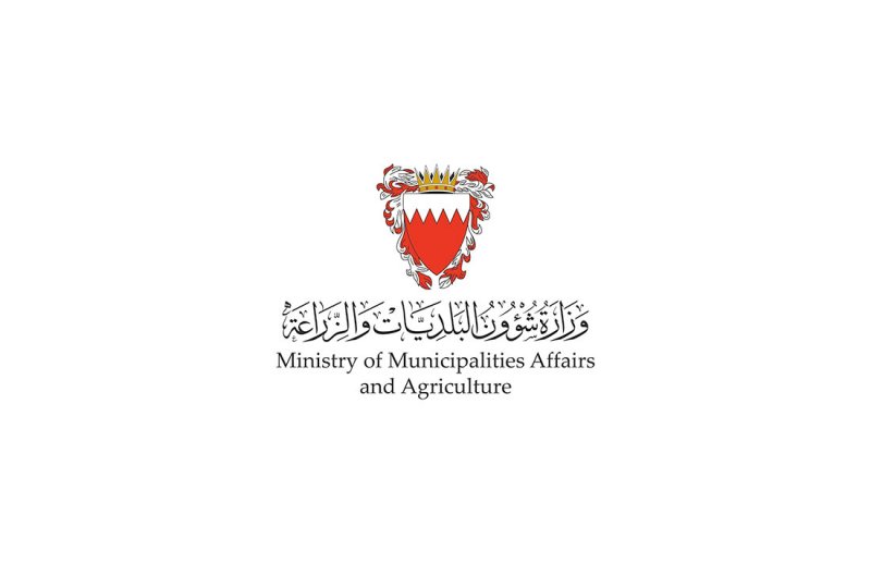 توقف مشروع مسح الأراضي الزراعية.. "البلديات": تم إدراج مشروع لدراسة التصحر واستصلاح الأراضي الزراعية