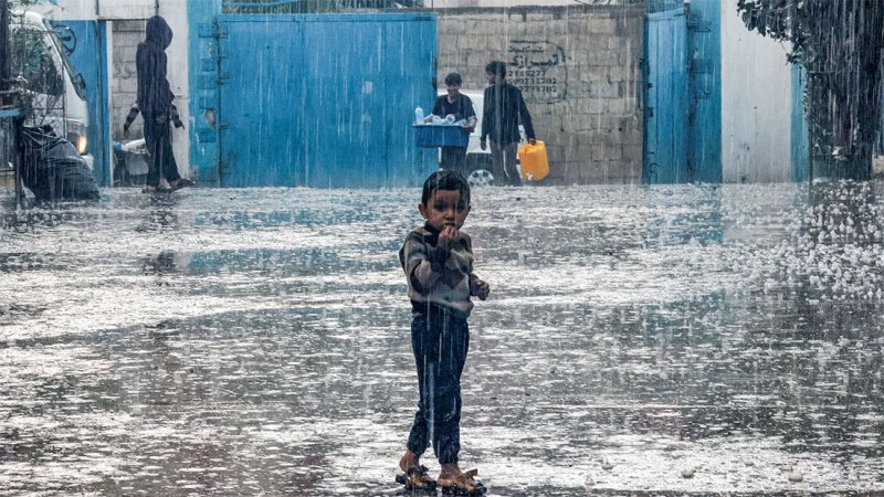 برد قارس وأمطار تضاعف معاناة أهل غزة.. نداء عاجل لتدخل سريع