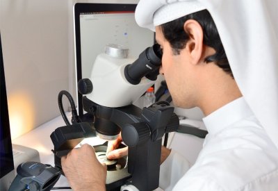"دانات" يسجل 80% زيادة بإصدار شهادات فحص اللؤلؤ والمجوهرات بمعرض الجواهر العربية
