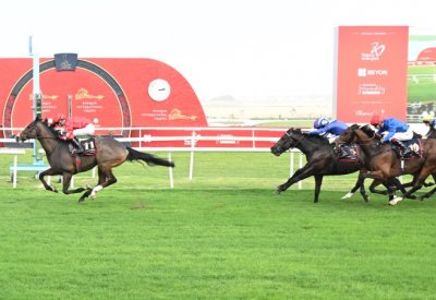 نادي راشد للفروسية وسباق الخيل ينظم غداً السباق السادس لهذا الموسم