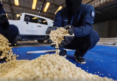 بالفيديو: السعودية تحبط تهريب 416 ألف حبة كبتاغون