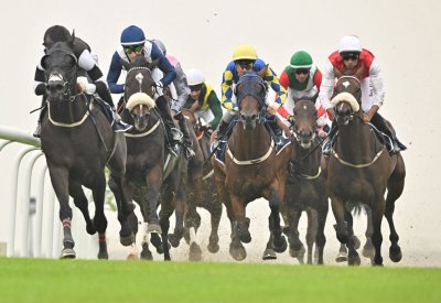 نادي راشد للفروسية وسباق الخيل ينظم السباق السادس لهذا الموسم