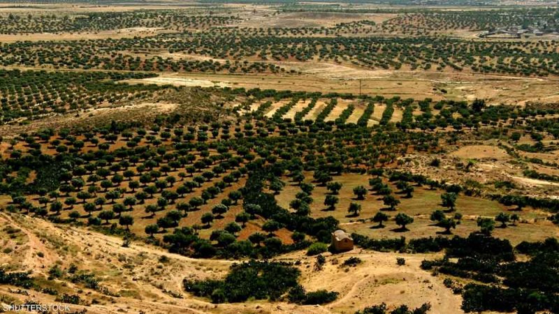 كيف يضرب تفاقم أزمة المناخ معدلات النمو الاقتصادي؟