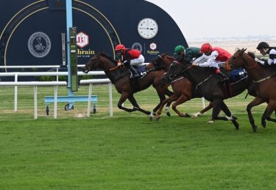 منافسات متكافئة ومفتوحة في السباق الثامن للخيل السبت المقبل