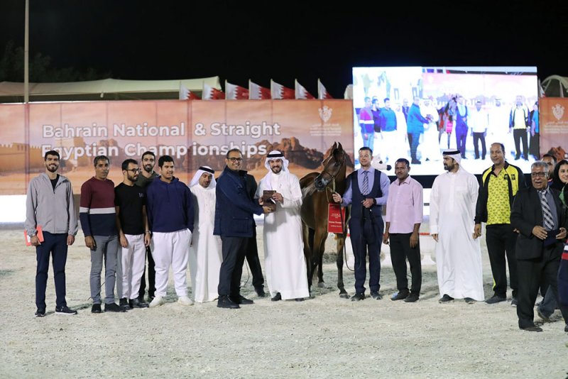 مشاركة جيدة في اليوم الأول لبطولة البحرين الوطنية والخيل ذات السلالة المصرية