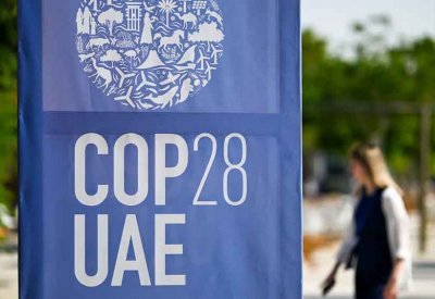 في COP28.. شركات ألبان عالمية تعلن تحالفا لخفض غاز الميثان