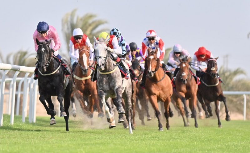 غدا إنطلاق صراع بطولة البحرين الدولية للخيل على كأسي المنامة والمحرق
