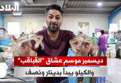 بالفيديو: ديسمبر موسم عشاق "القباقب"
