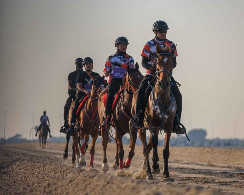 انطلاق بطولة العيد الوطني للقدرة واليوم السباق الكبير