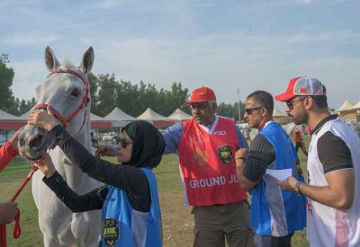 "فيكتوريوس" يتوج بجائزة أفضل حالة جواد لسباق العيد الوطني للقدرة