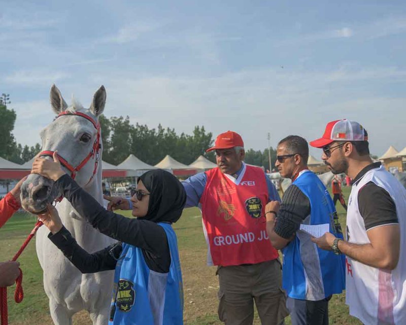 "فيكتوريوس" يتوج بجائزة أفضل حالة جواد لسباق العيد الوطني للقدرة