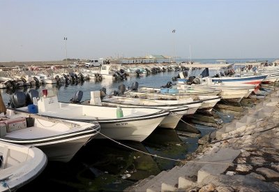 إضافة عامل ثالث إلى رخص الصيد “يزيد من تدهور الثروة البحرية”