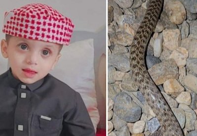 ثعبان يلدغ طفلاً في فناء منزله بالسعودية.. ووالده يروي التفاصيل