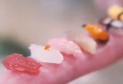 بحبة أرز واحدة.. طبق سوشي غريب يشغل اليابان