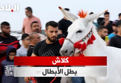 بالفيديو: كلاش بطل الأبطال!