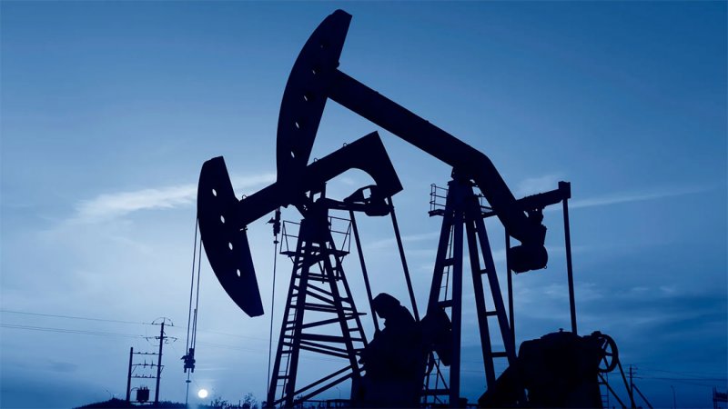 وزيرة المالية الهندية: سنواصل شراء النفط من روسيا