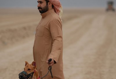 ختام بطولة سمو الشيخ خالد بن حمد للمهد العربي