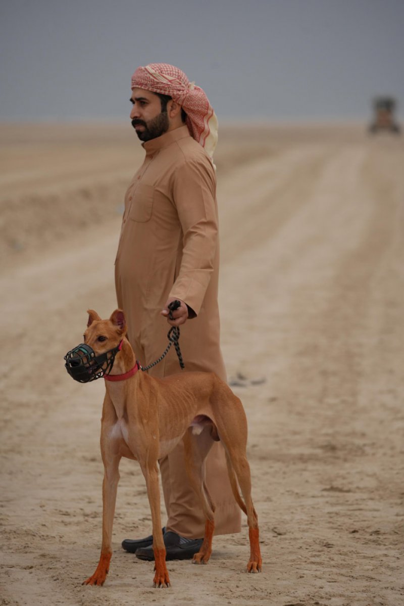 ختام بطولة سمو الشيخ خالد بن حمد للمهد العربي