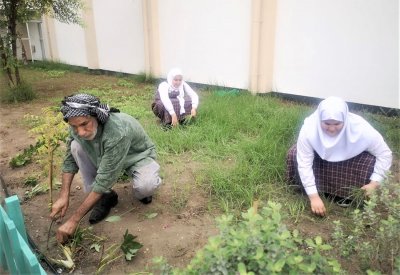 الجد السيد حميد يبادر بتشجير وتزيين مدرسة حفيدتيه