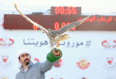 محترفو الصقور يشعلون المنافسة في بطولة سمو الشيخ ناصر بن حمد