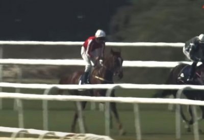 "النوايف" بطلا لكأس صحيفة "البلاد" لسباق الخيل