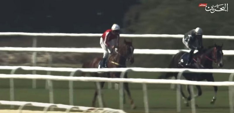 "النوايف" بطلا لكأس صحيفة "البلاد" لسباق الخيل