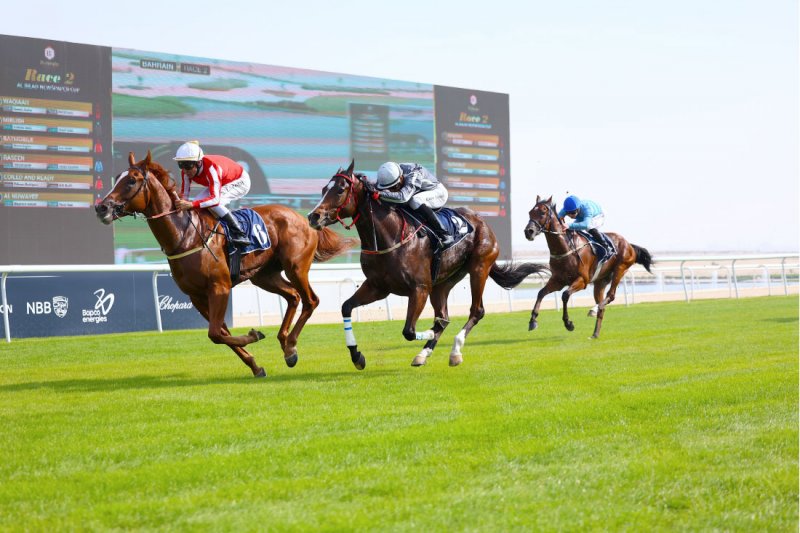 “النوايف” بطلا لكأس صحيفة “البلاد” لسباق الخيل