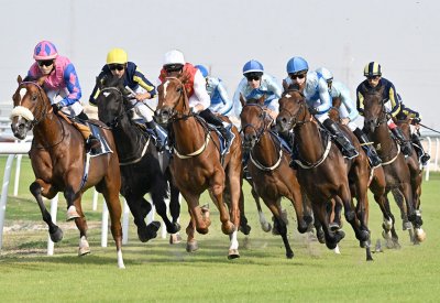 70 جواداً تتنافس على كؤوس آل شريف والمحافظة الجنوبية وكراون أندستريز