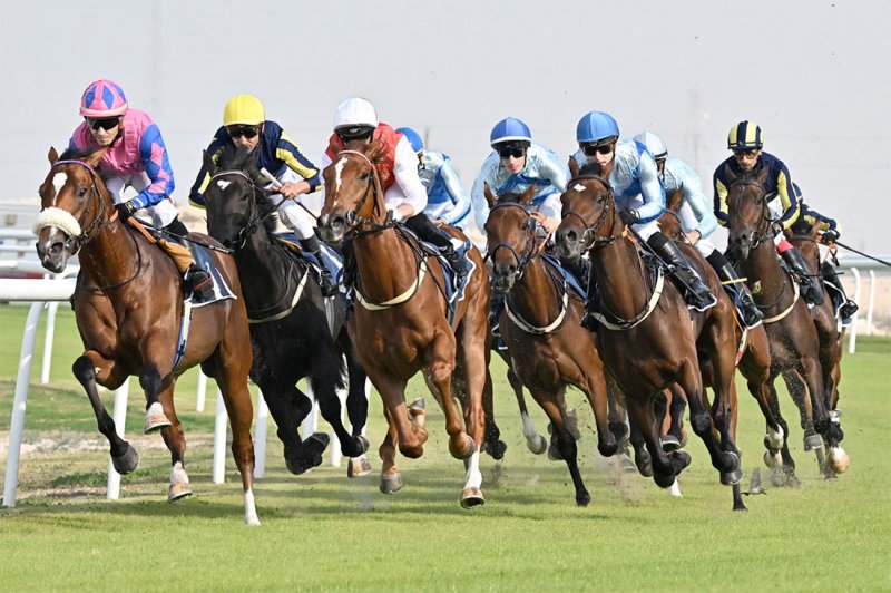 70 جواداً تتنافس على كؤوس آل شريف والمحافظة الجنوبية وكراون أندستريز