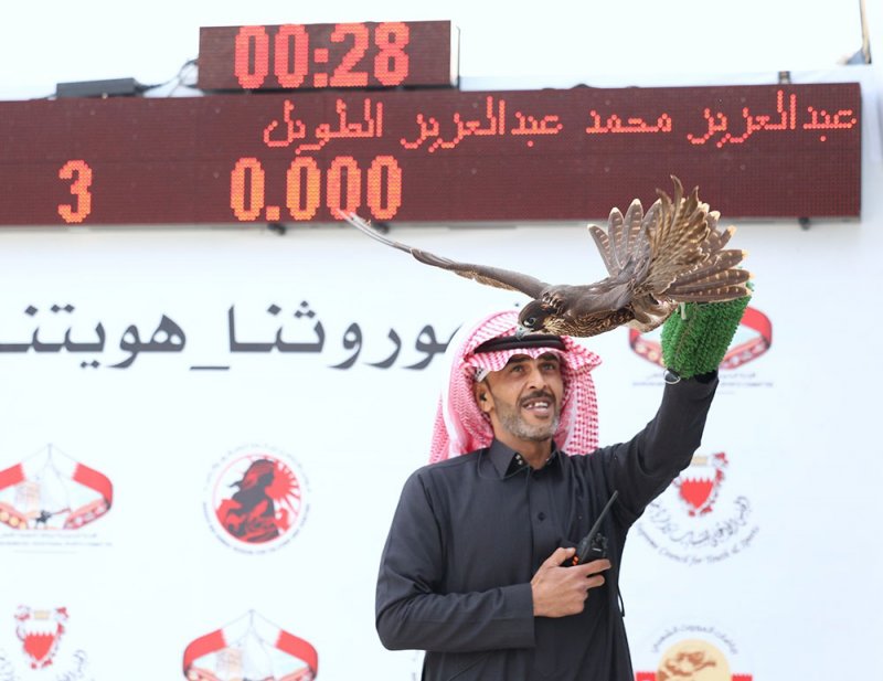 الصقارون السعوديون يتألقون في اختتام بطولة سمو الشيخ ناصر بن حمد للصقور
