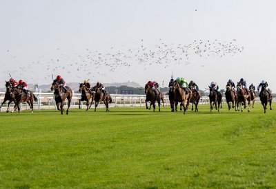 نادي راشد للفروسية وسباق الخيل ينظم غدا السباق السابع عشر لهذا الموسم