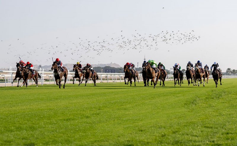 نادي راشد للفروسية وسباق الخيل ينظم غدا السباق السابع عشر لهذا الموسم