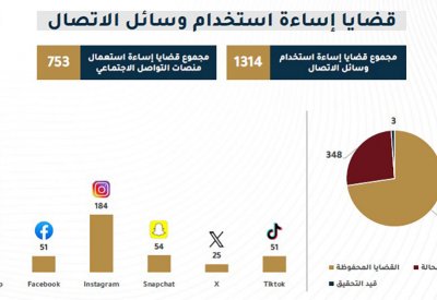 "النيابة": 51 قضية إساءة بـ"تيك توك".. و"واتساب" يتصدر قضايا "التواصل الاجتماعي"