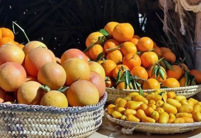 تناول الحمضيات بعد الطعام مباشرة قد يكون مضراً.. تعرَّف على الأسباب