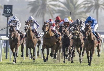 سموه يرعى سباق الخيل الكبير.. صراع الأبطال ونخبة الجياد للفوز بكؤوس سمو ولي العهد