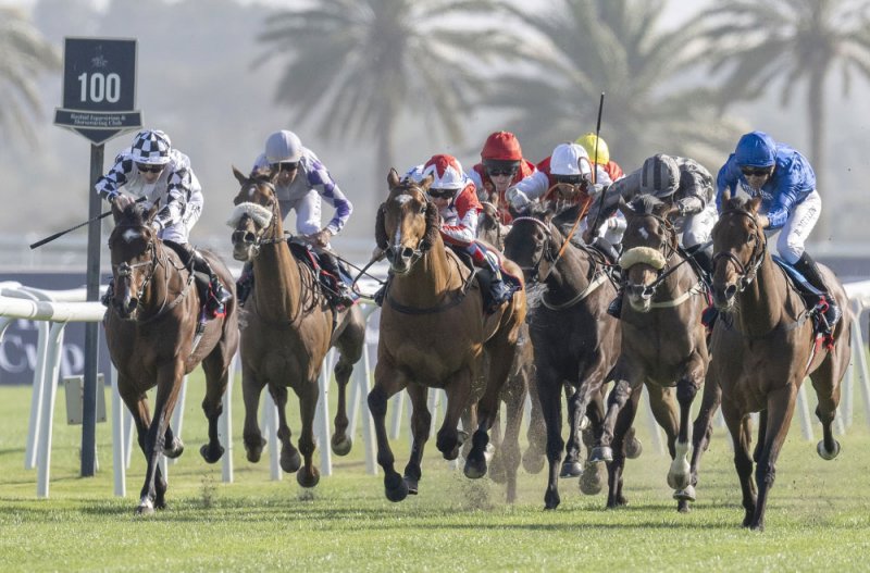 سموه يرعى سباق الخيل الكبير.. صراع الأبطال ونخبة الجياد للفوز بكؤوس سمو ولي العهد