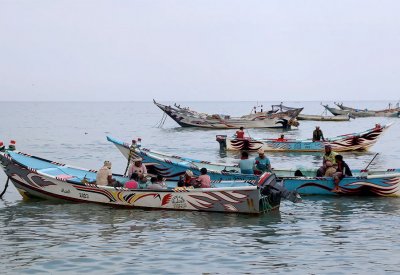 60 بالمئة من صيادي الحديدة فقدوا أعمالهم بسبب هجمات الحوثي