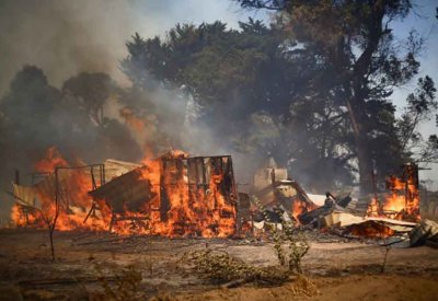 مقتل 51 على الأقل في حرائق غابات في تشيلي